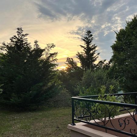 Guesthouse P&A Μπούντβα Εξωτερικό φωτογραφία